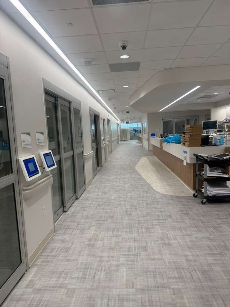 Polished medical corridor with crash rails and corner protection